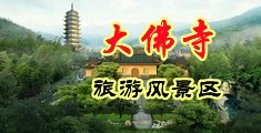 瑞典黑白操B中国浙江-新昌大佛寺旅游风景区